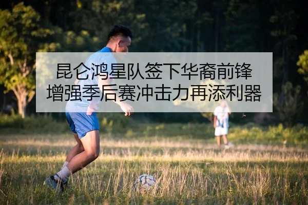 昆仑鸿星队签下华裔前锋 增强季后赛冲击力再添利器